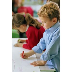 Roman, Oksana Diagnosis and Development of Memory in Primary School Age Roman, Oksana Diagnosis and Development of Memory in Primary School Age