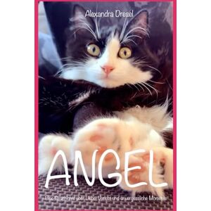 Dresel, Alexandra ANGEL: Eine wahre Katzengeschichte über Liebe, Verlust und unvergessliche Momente Dresel, Alexandra ANGEL: Eine wahre Katzengeschichte über Liebe, Verlust und unvergessliche Momente
