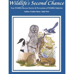 Stone, Feather Wildlife's Second Chance: True Wildlife Rescue Stories & Prevention of Wildlife Injuries Stone, Feather Wildlife's Second Chance: True Wildlife Rescue Stories & Prevention of Wildlife Injuries