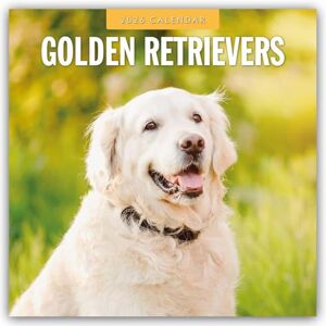 Red Robin Golden Retrievers 2026 Square Wall Calendar Red Robin Golden Retrievers 2026 Square Wall Calendar