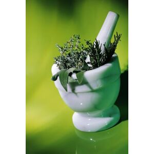 Hechache, Chung Chinese Natural Medicine: A Journey from Illness to Wellness, and from Wellness to Holistic Health: Chinese Natural Medicine Hechache, Chung Chinese Natural Medicine: A Journey from Illness to Wellness, and from Wellness to Holistic Health: Chinese Natural Medicine