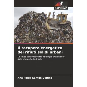 Santos Delfino, Ana Paula Il recupero energetico dei rifiuti solidi urbani: Le cause del sottoutilizzo del biogas proveniente dalle discariche in Brasile Santos Delfino, Ana Paula Il recupero energetico dei rifiuti solidi urbani: Le cause del sottoutilizzo del biogas proveniente dalle discariche in Brasile