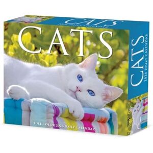 Willow Creek Press Cats 2026 Box Calendar Willow Creek Press Cats 2026 Box Calendar