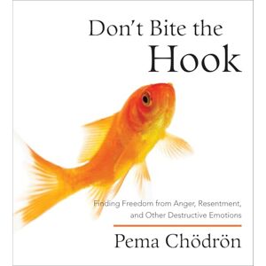 Chodron, Pema Don't Bite the Hook: Finding Freedom from Anger, Resentment, and Other Destructive Emotions Chodron, Pema Don't Bite the Hook: Finding Freedom from Anger, Resentment, and Other Destructive Emotions