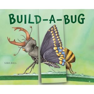 Ball, Sara Build-a-Bug: Make Your Own Wacky Insect!: 5 (Mix-and-Match Board Books) Ball, Sara Build-a-Bug: Make Your Own Wacky Insect!: 5 (Mix-and-Match Board Books)