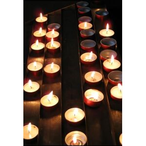 Davis, Banina The Sweet and Bitter Truth Davis, Banina The Sweet and Bitter Truth