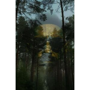 Lee Der leise Vater: Eine ehrliche Geschichte über Ängste, Depression und die stille Kraft eines Vaters, der wachsen musste Lee Der leise Vater: Eine ehrliche Geschichte über Ängste, Depression und die stille Kraft eines Vaters, der wachsen musste