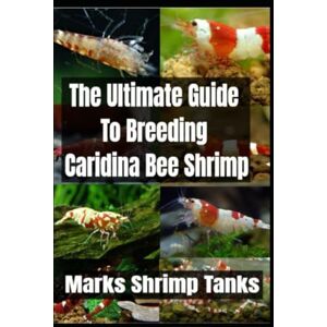 Tanks, Marks Shrimp The Ultimate Guide To Breeding Caridina Bee Shrimp Tanks, Marks Shrimp The Ultimate Guide To Breeding Caridina Bee Shrimp