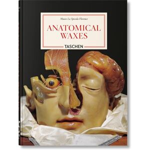 Poggesi, Marta Anatomical Waxes. 45th Ed. (45th Edition) Poggesi, Marta Anatomical Waxes. 45th Ed. (45th Edition)