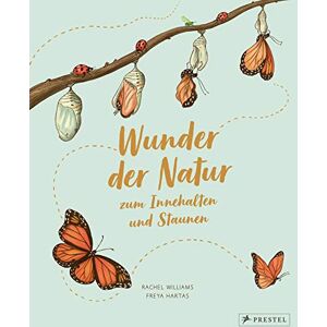 Williams, Rachel Wunder der Natur zum Innehalten und Staunen: 50 kleine Geschichten über alltägliche Naturereignisse Williams, Rachel Wunder der Natur zum Innehalten und Staunen: 50 kleine Geschichten über alltägliche Naturereignisse