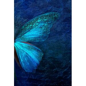 Publishing, Write Away Butterfly Journal: Hardcover Journal for Women to Write In 6x9 inch Lined Journal with 150 Pages Small Notebook for Journaling, Creative Writing, Poetry, & Note Taking (Butterfly Journals) Publishing, Write Away Butterfly Journal: Hardcover Journal for Women to Write In 6x9 inch Lined Journal with 150 Pages Small Notebook for Journaling, Creative Writing, Poetry, & Note Taking (Butterfly Journals)