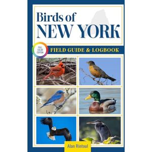 Rintoul, Alan Birds of New York Field Guide and Logbook: An Essential Birdwatching Guide with Identification Tips for 60 Common Bird Species in New York Rintoul, Alan Birds of New York Field Guide and Logbook: An Essential Birdwatching Guide with Identification Tips for 60 Common Bird Species in New York