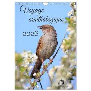 Martzel, Thomas Voyage ornithologique (Calendrier mural 2026 DIN A4 horizontal), CALVENDO calendrier mensuel: Un calendrier fascinant qui vous fait explorer, mois ... la diversité des oiseaux à travers le monde. Martzel, Thomas Voyage ornithologique (Calendrier mural 2026 DIN A4 horizontal), CALVENDO calendrier mensuel: Un calendrier fascinant qui vous fait explorer, mois ... la diversité des oiseaux à travers le monde.
