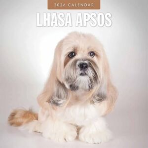 Red Robin Lhasa Apsos 2026 Square Wall Calendar Red Robin Lhasa Apsos 2026 Square Wall Calendar