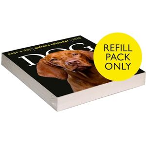 Calendars, Workman Dog Page-A-Day® Gallery Calendar Refill Pack 2026 Calendars, Workman Dog Page-A-Day® Gallery Calendar Refill Pack 2026