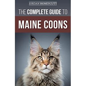 Honeycutt, Jordan The Complete Guide to Maine Coons: Finding, Preparing for, Feeding, Training, Socializing, Grooming, and Loving Your New Maine Coon Cat Honeycutt, Jordan The Complete Guide to Maine Coons: Finding, Preparing for, Feeding, Training, Socializing, Grooming, and Loving Your New Maine Coon Cat