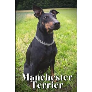 Pustova, Nina Manchester Terrier: Dog breed overview and guide Pustova, Nina Manchester Terrier: Dog breed overview and guide