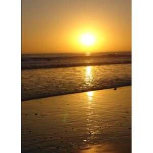 Johnson, Michael Paul World English Bible Johnson, Michael Paul World English Bible