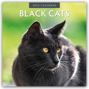 Red Robin Black Cats 2025 Square Wall Calendar Red Robin Black Cats 2025 Square Wall Calendar