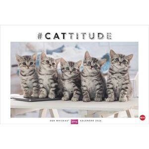 Whiskas Katzenkalender 2026: Foto-Wandkalender mit süßen Katzen und lustigen Geschichten. Wandkalender 2026 in schönem Design. Bildkalender 2026. Querformat 45 x 30 cm. Whiskas Katzenkalender 2026: Foto-Wandkalender mit süßen Katzen und lustigen Geschichten. Wandkalender 2026 in schönem Design. Bildkalender 2026. Querformat 45 x 30 cm.