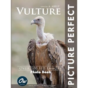 World, Our Vulture: Picture Perfect Photo Book World, Our Vulture: Picture Perfect Photo Book