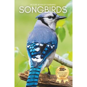 Earthley, Owen Picture Book of Charming Songbirds: A Peaceful Collection of Real Bird Photography for Seniors Living with Memory Loss, Alzheimer’s, or Dementia (Birds Coffee Table Books) Earthley, Owen Picture Book of Charming Songbirds: A Peaceful Collection of Real Bird Photography for Seniors Living with Memory Loss, Alzheimer’s, or Dementia (Birds Coffee Table Books)