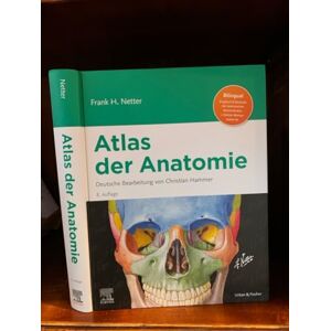 Netter, Frank H. Netter Atlas der Anatomie: Deutsche Bearbeitung von Christian Hammer (VORKLINIK Lehrbuch Urban & Fischer-Verlag) Netter, Frank H. Netter Atlas der Anatomie: Deutsche Bearbeitung von Christian Hammer (VORKLINIK Lehrbuch Urban & Fischer-Verlag)
