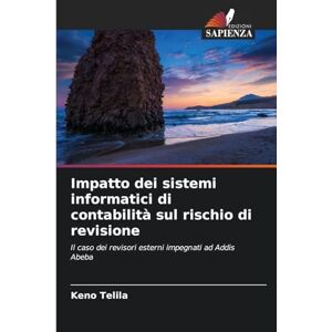 Telila, Keno Impatto dei sistemi informatici di contabilità sul rischio di revisione: Il caso dei revisori esterni impegnati ad Addis Abeba Telila, Keno Impatto dei sistemi informatici di contabilità sul rischio di revisione: Il caso dei revisori esterni impegnati ad Addis Abeba