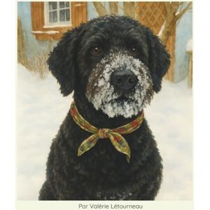 Letourneau, Mme Valerie Luro: Le chien qui a choisi sa famille: Une histoire vraie d’amour, de loyauté et de secondes chances Letourneau, Mme Valerie Luro: Le chien qui a choisi sa famille: Une histoire vraie d’amour, de loyauté et de secondes chances