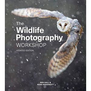Ross Hoddinott Wildlife Photography Workshop, The Ross Hoddinott Wildlife Photography Workshop, The