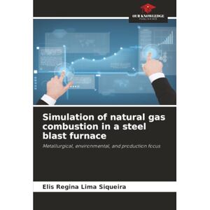 Lima Siqueira, Elis Regina Simulation of natural gas combustion in a steel blast furnace: Metallurgical, environmental, and production focus Lima Siqueira, Elis Regina Simulation of natural gas combustion in a steel blast furnace: Metallurgical, environmental, and production focus