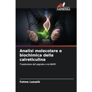 Lezzeik, Fatme Analisi molecolare e biochimica della calreticulina: Trasduzione del segnale e vie MAPK Lezzeik, Fatme Analisi molecolare e biochimica della calreticulina: Trasduzione del segnale e vie MAPK