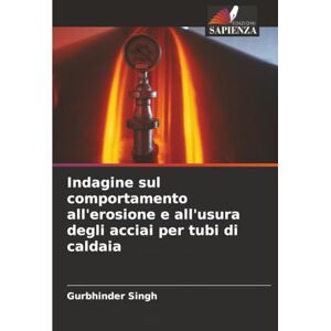 Singh, Gurbhinder Indagine sul comportamento all'erosione e all'usura degli acciai per tubi di caldaia Singh, Gurbhinder Indagine sul comportamento all'erosione e all'usura degli acciai per tubi di caldaia