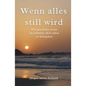 Schmid, Jürgen Anton Wenn alles still wird: Was geschieht, wenn du aufhörst, dich selbst zu übergehen Schmid, Jürgen Anton Wenn alles still wird: Was geschieht, wenn du aufhörst, dich selbst zu übergehen