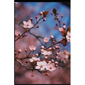 Hicks, Tony The Reinvestment Blueprint: Unlocking High-Yield Dividends for Long-Term Wealth Hicks, Tony The Reinvestment Blueprint: Unlocking High-Yield Dividends for Long-Term Wealth