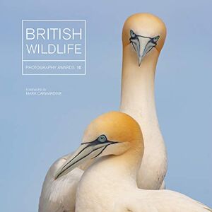Maggie Gowan British Wildlife Photography Awards 10 Maggie Gowan British Wildlife Photography Awards 10