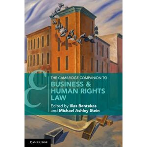 The Cambridge Companion to Business & Human Rights Law (Cambridge Companions to Law) The Cambridge Companion to Business & Human Rights Law (Cambridge Companions to Law)