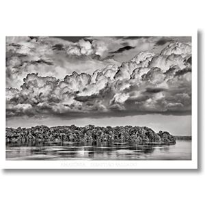 Sebastião Salgado. Amazônia. Poster ‘Parana’ Sebastião Salgado. Amazônia. Poster ‘Parana’
