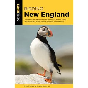 Minetor, Randi Birding New England: A Field Guide to the Birds of Connecticut, Rhode Island, Massachusetts, Maine, New Hampshire, and Vermont (Birding Series) Minetor, Randi Birding New England: A Field Guide to the Birds of Connecticut, Rhode Island, Massachusetts, Maine, New Hampshire, and Vermont (Birding Series)