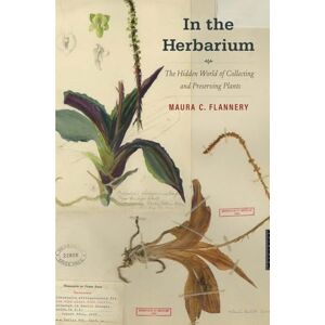 Flannery In the Herbarium: The Hidden World of Collecting and Preserving Plants Flannery In the Herbarium: The Hidden World of Collecting and Preserving Plants