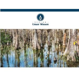 Hernandez - Muñoz, Abel Wildflower: Chroniken meines Besuchs in der Wildnis der Halbinsel Florida, Vereinigte Staaten von Amerika. Hernandez - Muñoz, Abel Wildflower: Chroniken meines Besuchs in der Wildnis der Halbinsel Florida, Vereinigte Staaten von Amerika.