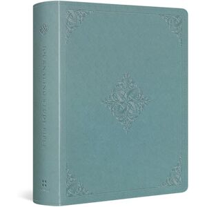 ESV Journaling Study Bible (TruTone over Board, Paris Sky, Fleur-de-lis Design) ESV Journaling Study Bible (TruTone over Board, Paris Sky, Fleur-de-lis Design)