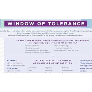 Siegel M.D., Daniel J. Window of Tolerance Laminated Card Siegel M.D., Daniel J. Window of Tolerance Laminated Card