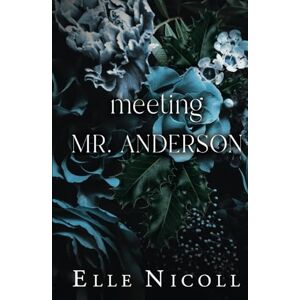 Nicoll, Elle Meeting Mr Anderson (The Men Series Interconnected Standalone Romances) Nicoll, Elle Meeting Mr Anderson (The Men Series Interconnected Standalone Romances)