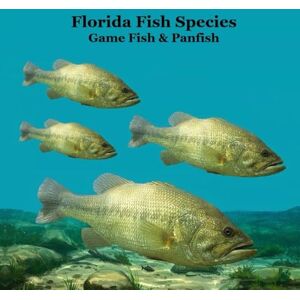 Grinslott, Billy Florida Game Fish and Panfish Species Kids Book: Great Book About the Different Types of Fish in Florida Grinslott, Billy Florida Game Fish and Panfish Species Kids Book: Great Book About the Different Types of Fish in Florida