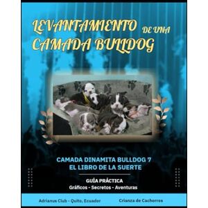Adrianus Club, Adrián Levantamiento de una Camada Bulldog: Camada Dinamita Bulldog 7 Adrianus Club, Adrián Levantamiento de una Camada Bulldog: Camada Dinamita Bulldog 7