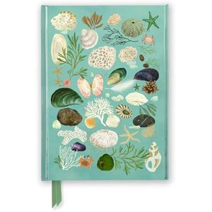 Katherine Quinn: Beachcombing (Foiled Journal) (Flame Tree Notebooks) Katherine Quinn: Beachcombing (Foiled Journal) (Flame Tree Notebooks)