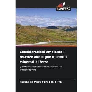 Silva Considerazioni ambientali relative alle dighe di sterili minerari di ferro: Quantificazione delle etere-ammine nei residui della flottazione del ferro Silva Considerazioni ambientali relative alle dighe di sterili minerari di ferro: Quantificazione delle etere-ammine nei residui della flottazione del ferro
