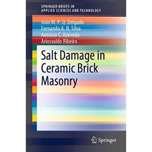 Delgado, João M.P.Q. Salt Damage in Ceramic Brick Masonry (SpringerBriefs in Applied Sciences and Technology) Delgado, João M.P.Q. Salt Damage in Ceramic Brick Masonry (SpringerBriefs in Applied Sciences and Technology)