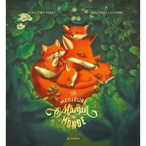 Perez, Sébastien La Meilleure Maman du Monde Perez, Sébastien La Meilleure Maman du Monde